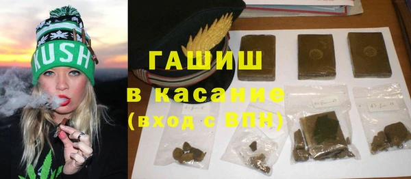 индика Абинск