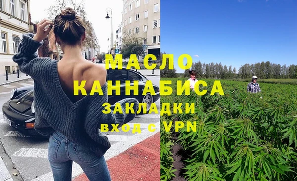индика Абинск