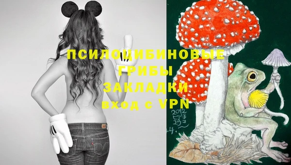 марки lsd Алексеевка