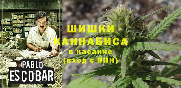 PSILOCYBIN Алексин
