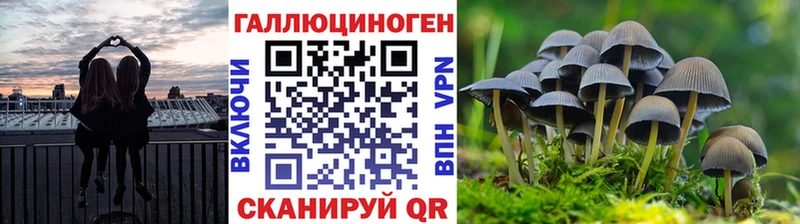 ссылка на мегу как зайти  Майский  Галлюциногенные грибы Psilocybe 